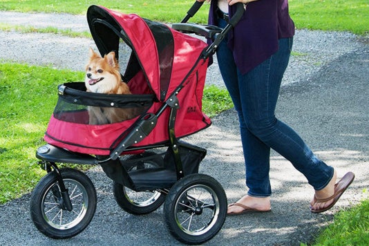 Person rolling a dog in the Pet Gear No-Zip Jogger Pet Stroller.